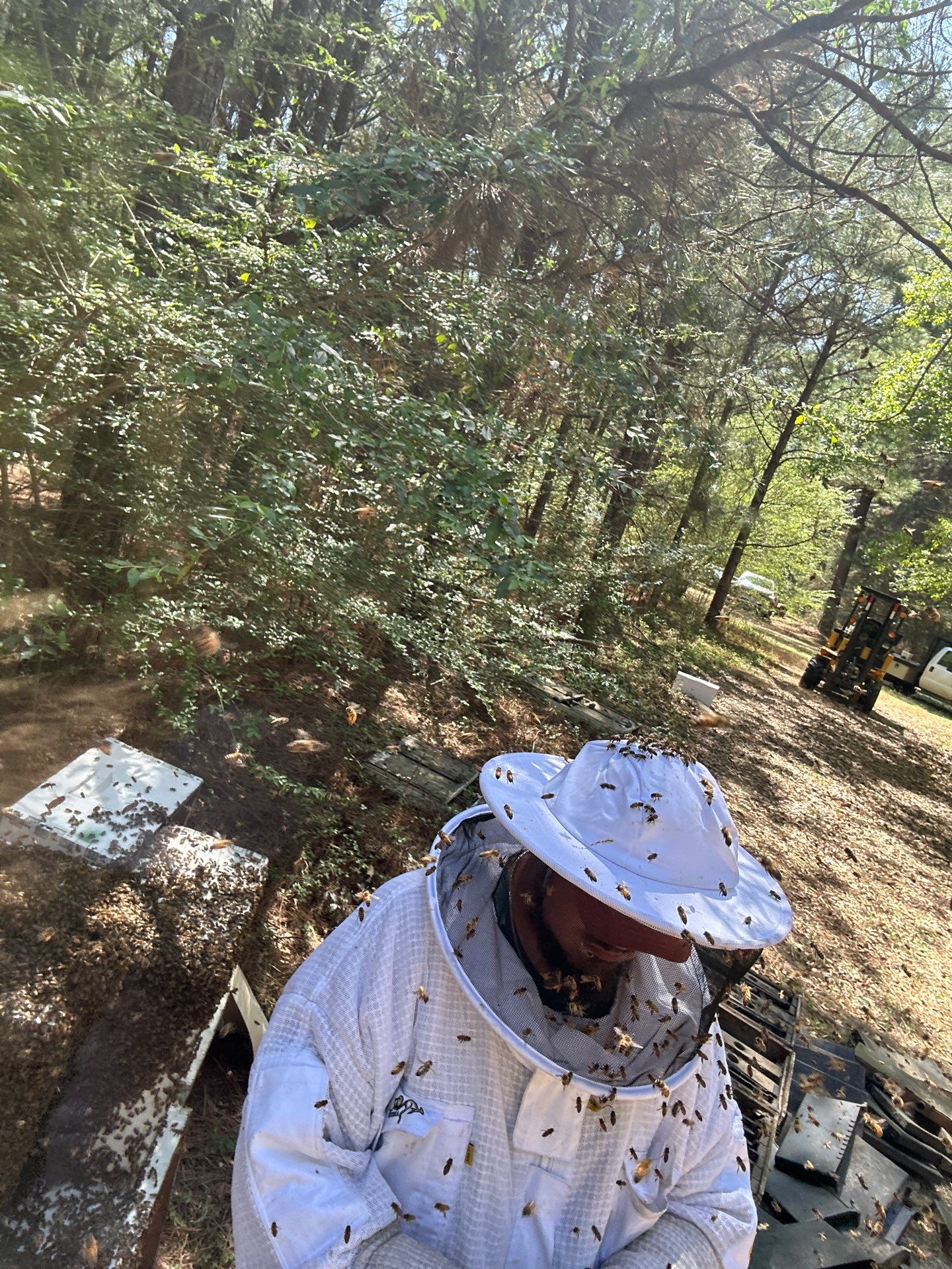 Tree Farm Apiary by Rockwall Honey Bee Company