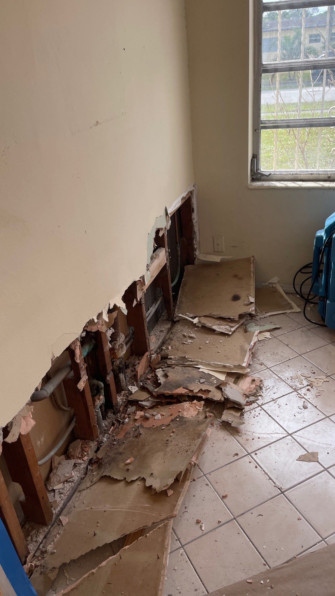 Mold Remediation  by THE RAPID TEAM