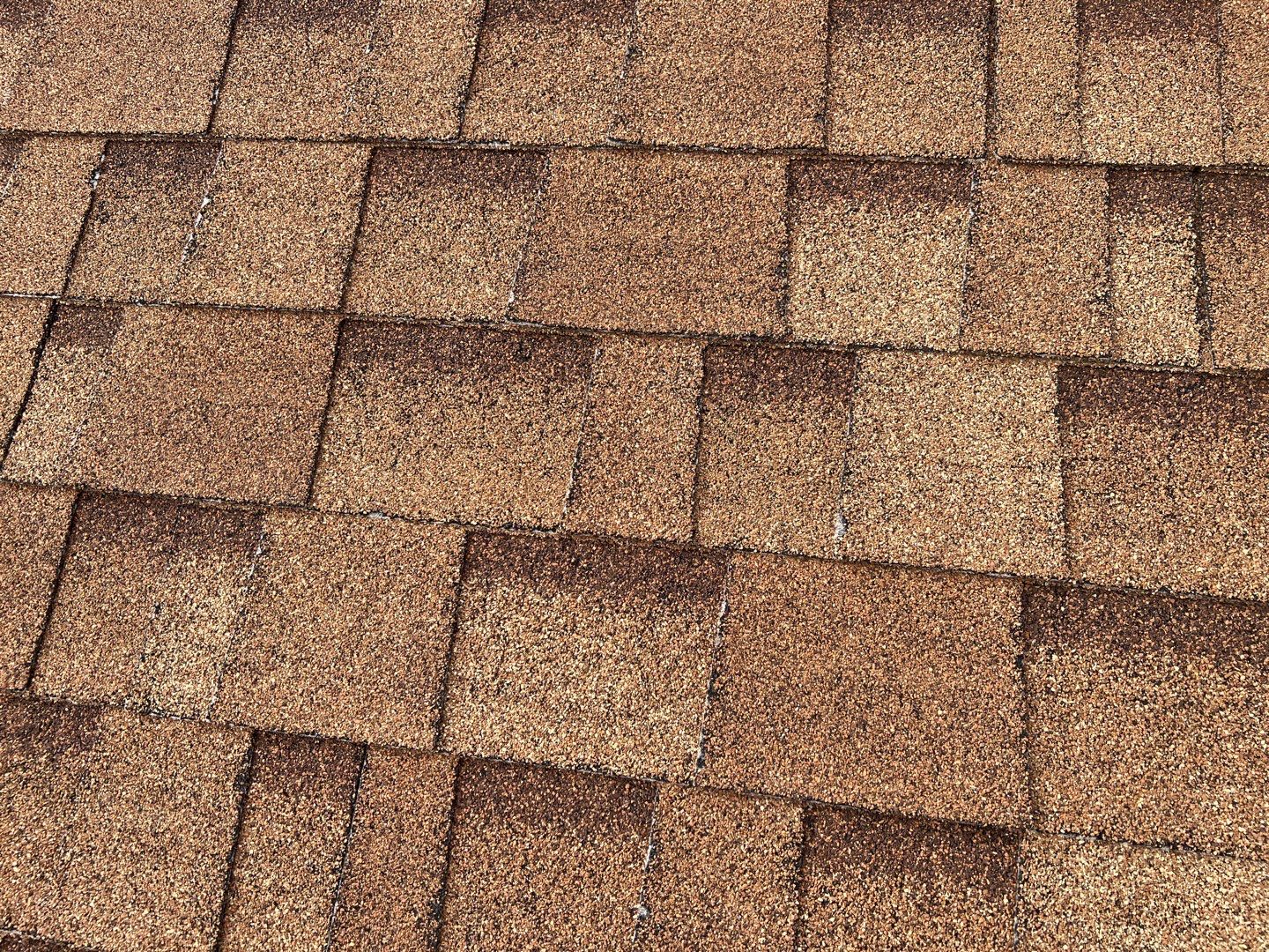 Jenna's Re-Roof and Ridge Vents by All Storm Roofing & Construction