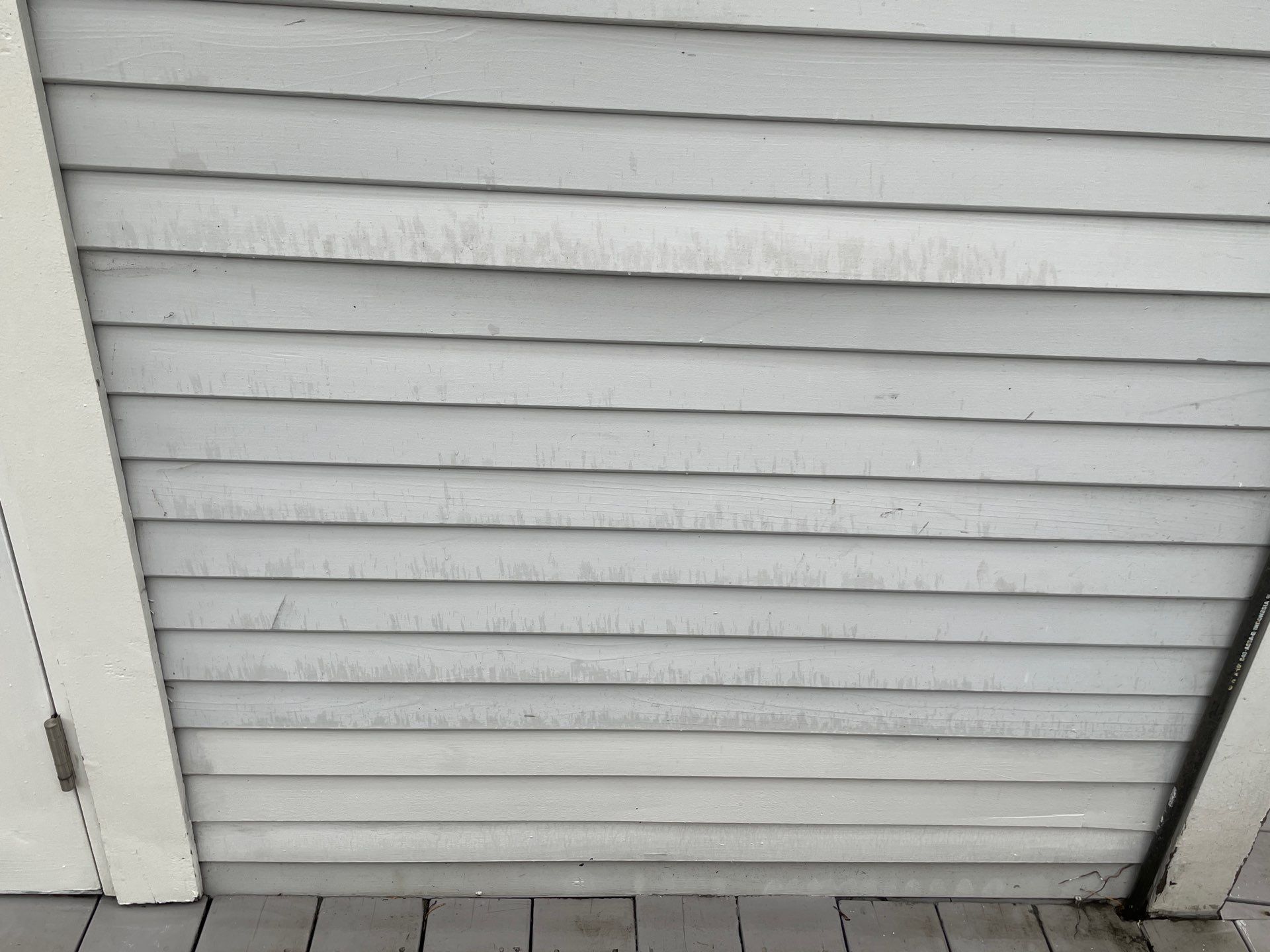 Global Termite Solutions featured photo.