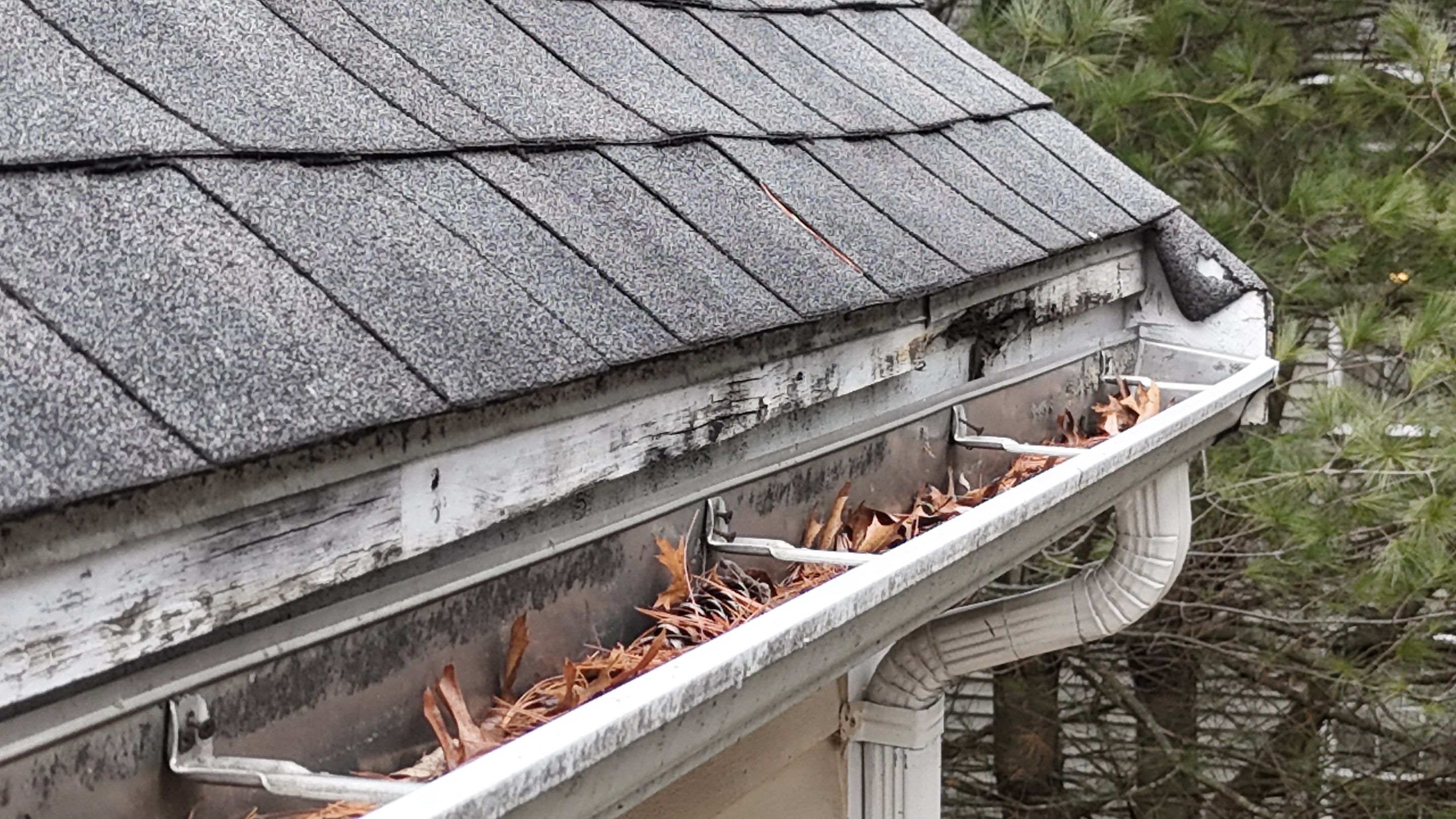 Full Roof Replacement & PVC Fascia Upgrade in Acton by Mighty Dog Roofing of Greater Middlesex County