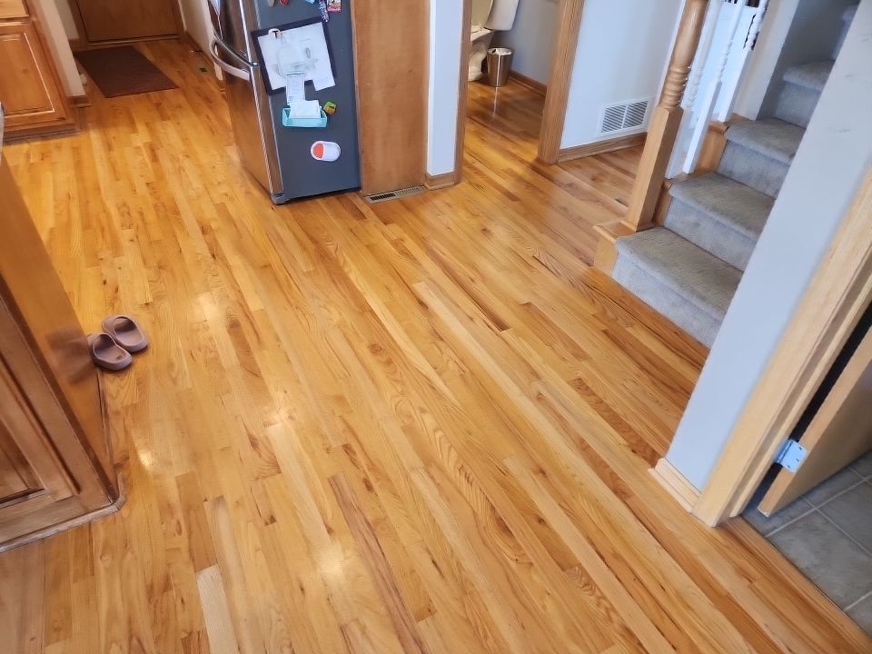 Abby Wenninghoff by FloorCo