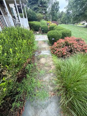 Window Cleaning in Branchburg, NJ — Gallo Bros job photo