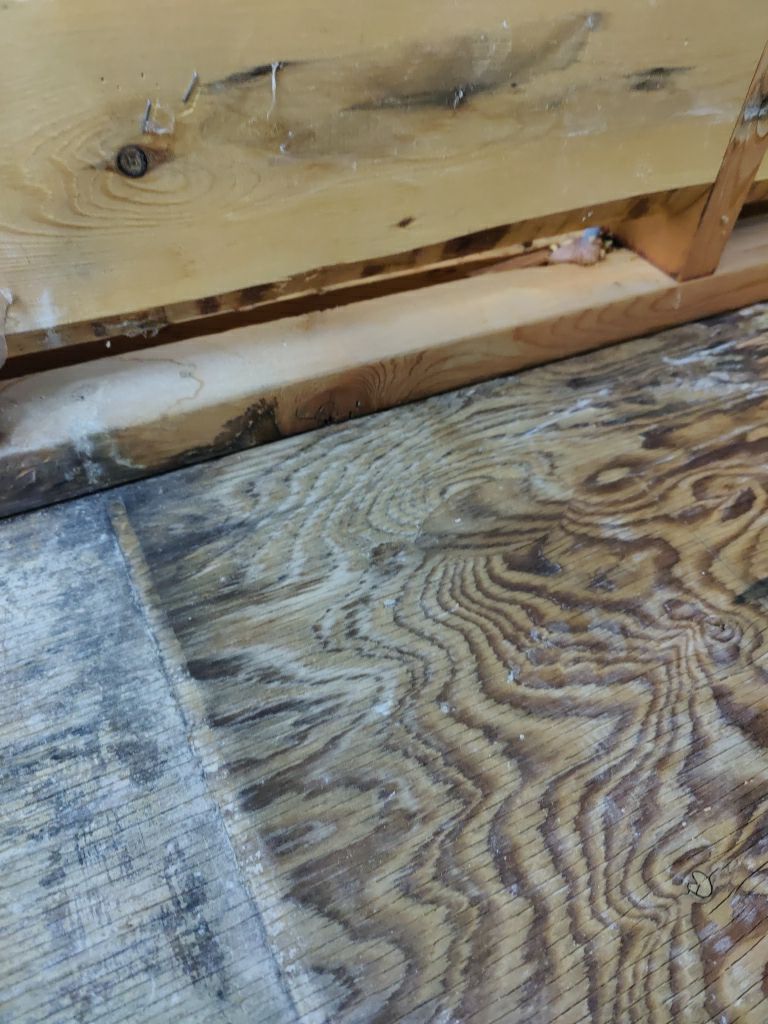 Mold Remediation  by Accountable Home Services