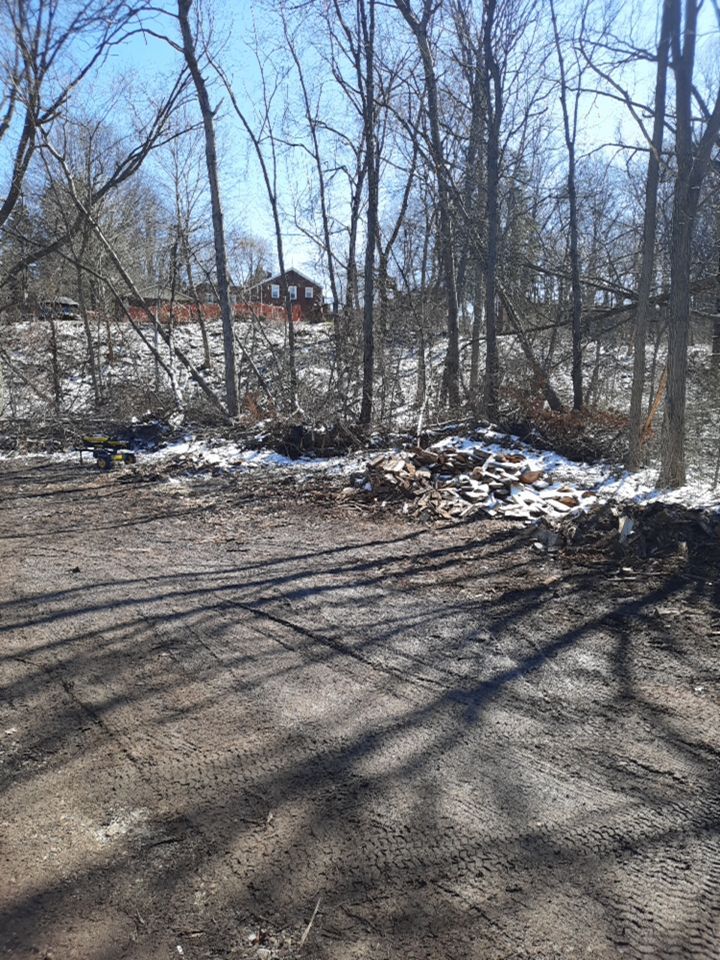 Tree Removal using Tree Removal by Mike Jones & Sons Tree Service LLC 