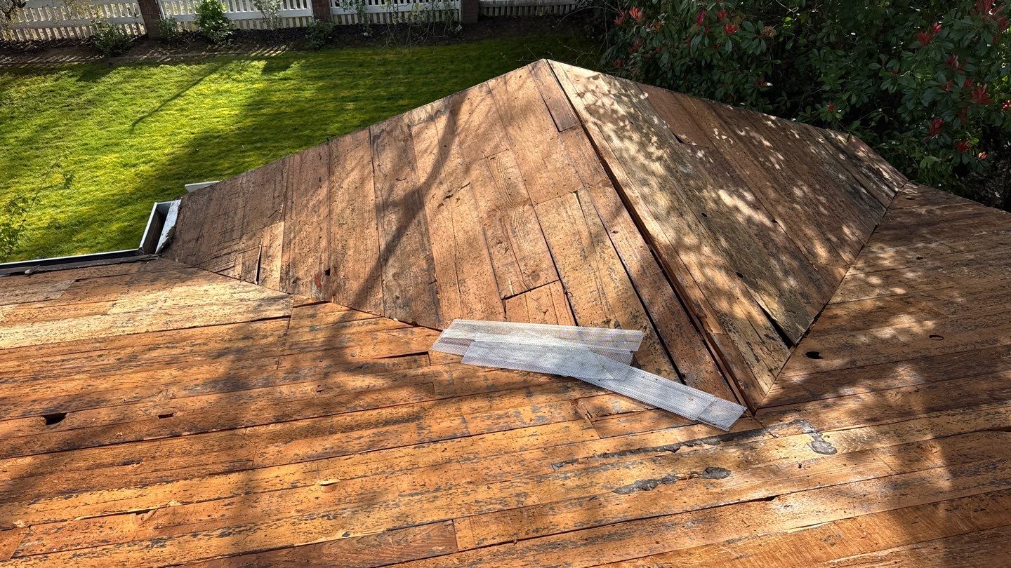 Willa Holmstock by NuLead Construction Inc