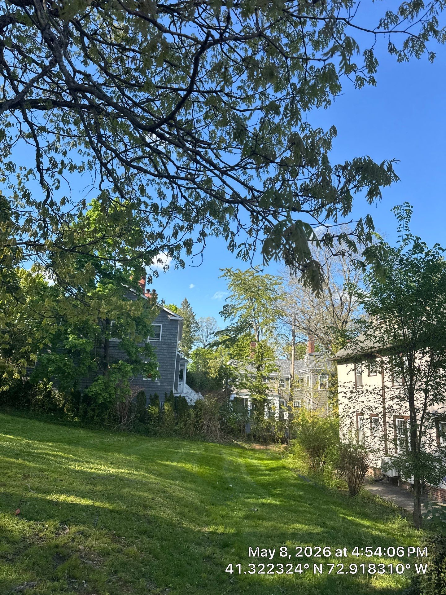 Residential Lawn Care and Hedge Trimming in New Haven by Diamond Image LLC