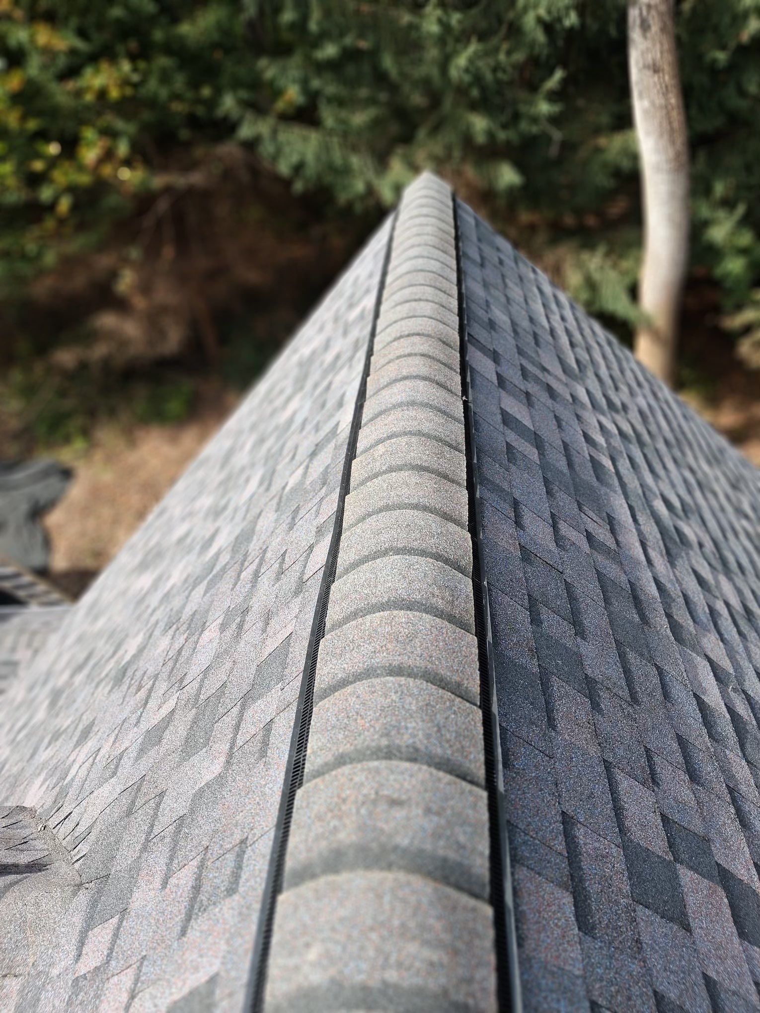 Architectural Asphalt Shingle Roof Replacement in Frederick, Maryland by Frederick Roof Repair