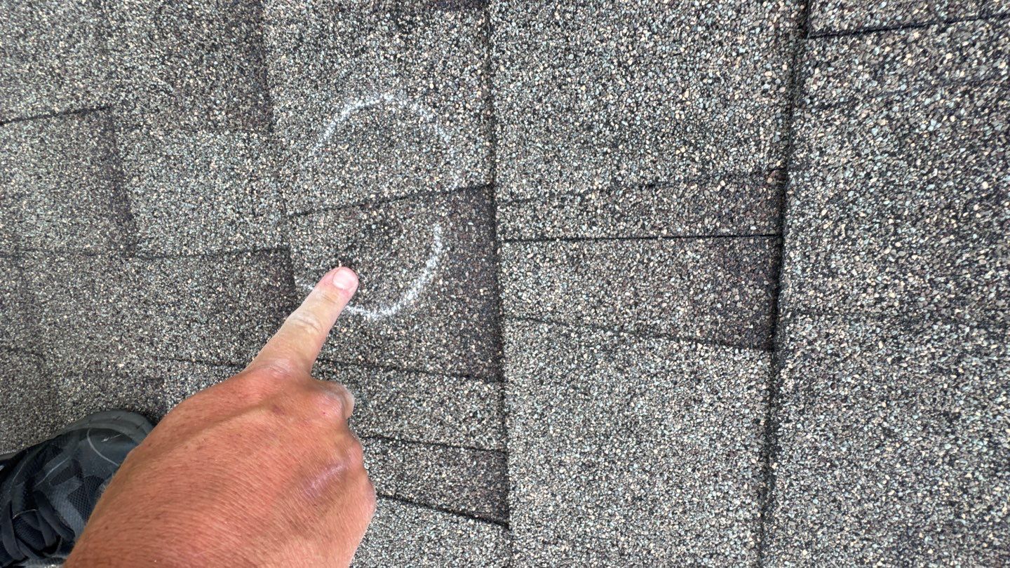 Franky Inspection by Boss Hogg Roofing