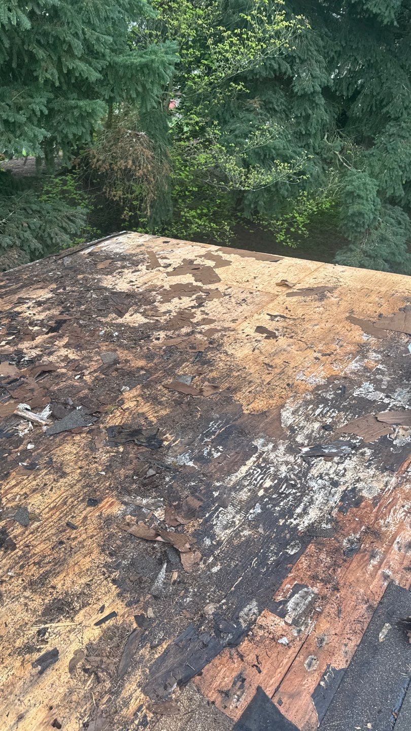 Residential Roofing Installation using GAF HDZ Shingles by Roofing Formula LLC