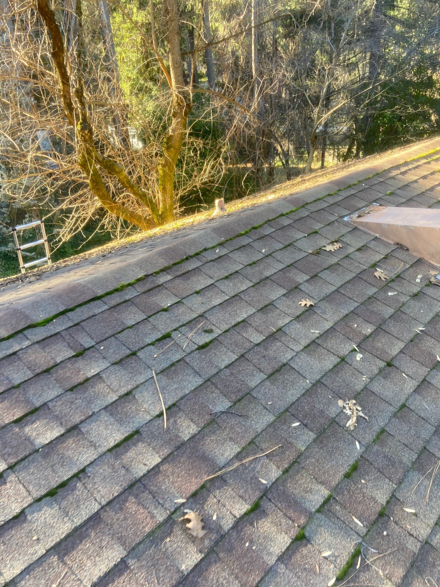 Roof Rejuvenation using Roof Maxx Treatment by Roof Maxx of Folsom