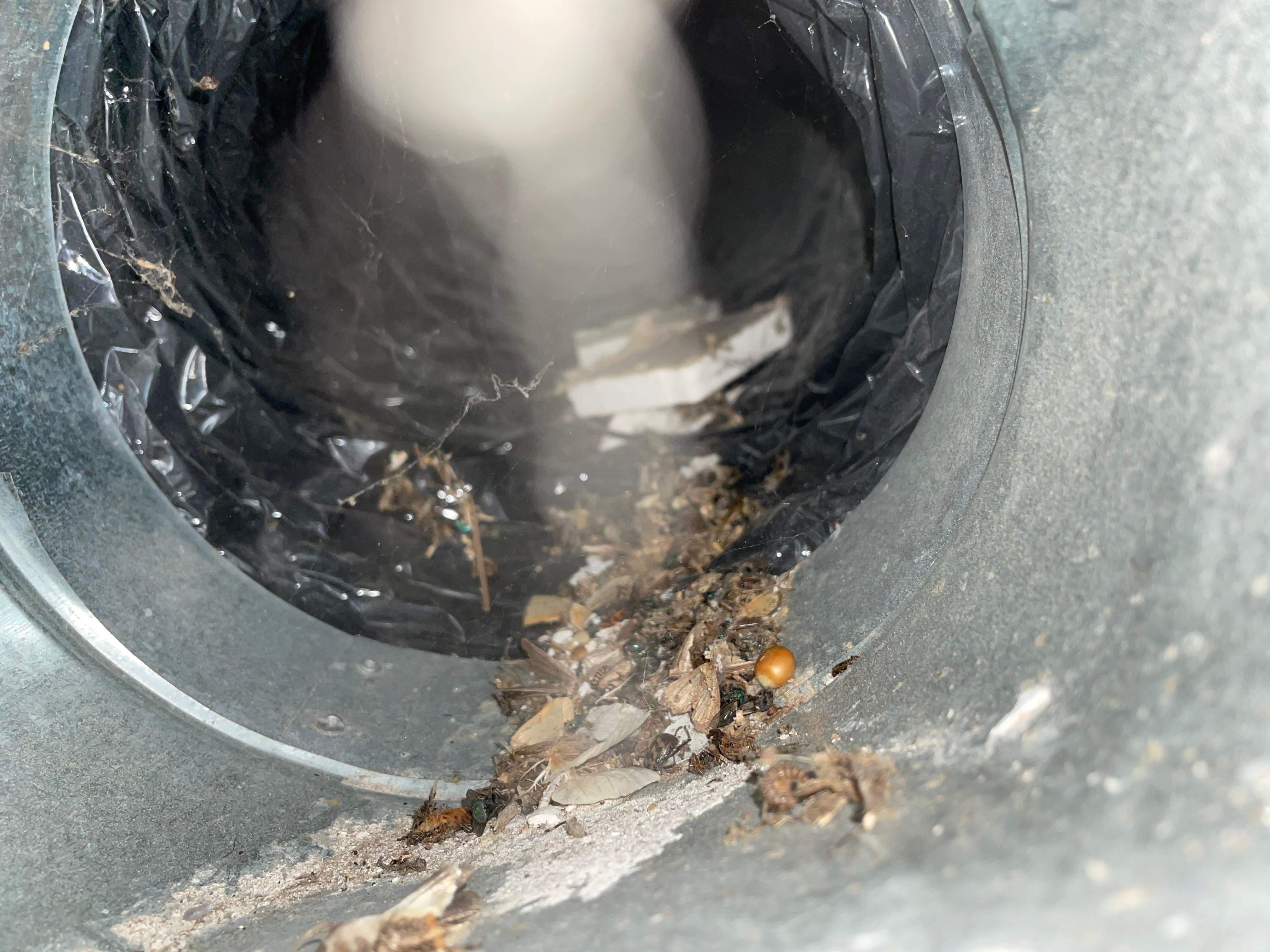 Duct Cleaning using Rotobrush Beast by Fox Hill Luxury Real Estate Services