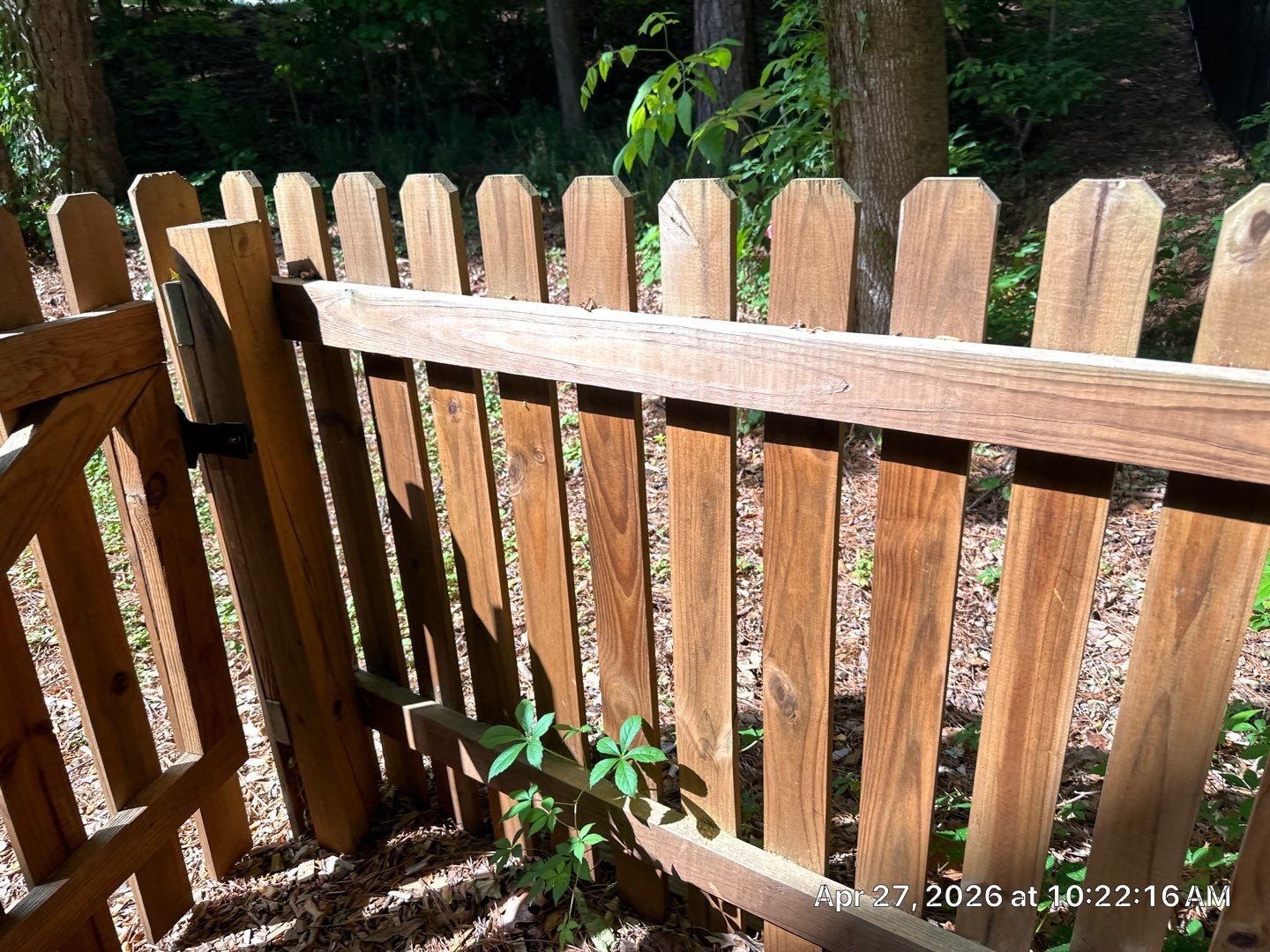Fence using Wood Sealant by DuraSeal