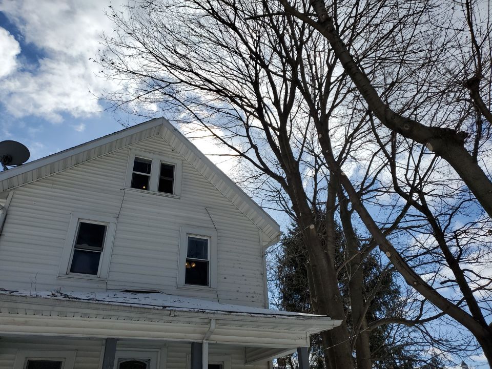 Tree Trimming using Tree Pruing by Mike Jones & Sons Tree Service LLC 