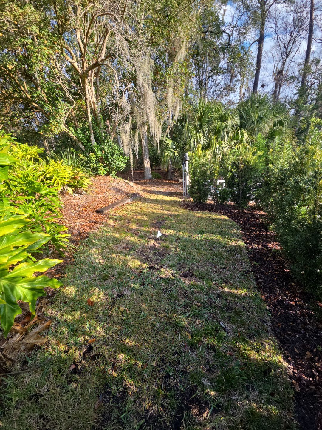 Deerwood Resident | Freshen Up Project by ProGreen Services