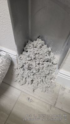 Dryer Vent Cleaning in Mount Dora