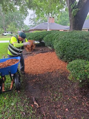 Deerwood Resident | Mulch Install & Clean-Up