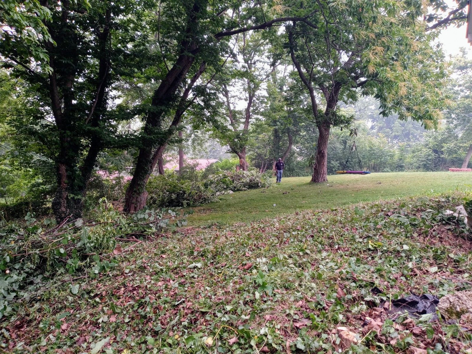 Tree Removal using Tree Removal by Mike Jones & Sons Tree Service LLC 