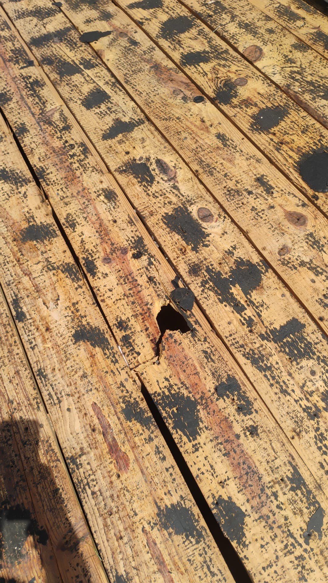 Project in Seminole 33772 by Mitchell Roofing Company LLC 
