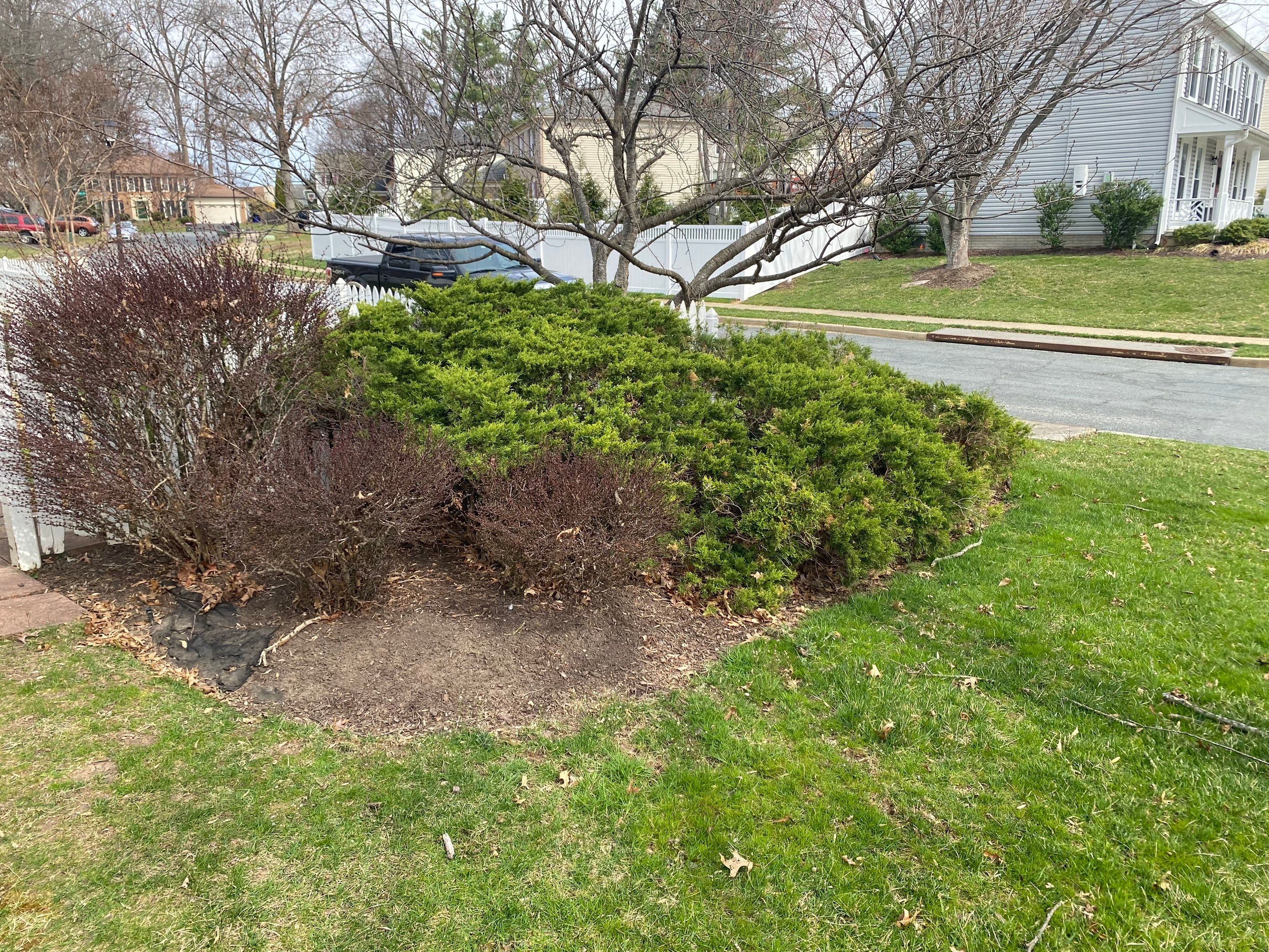 Landscape Design and Cleanup by The Smet Companies, LLC
