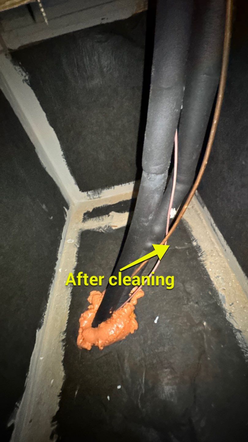 Air Duct Cleaning in Leesburg by Hygienic Air, Inc