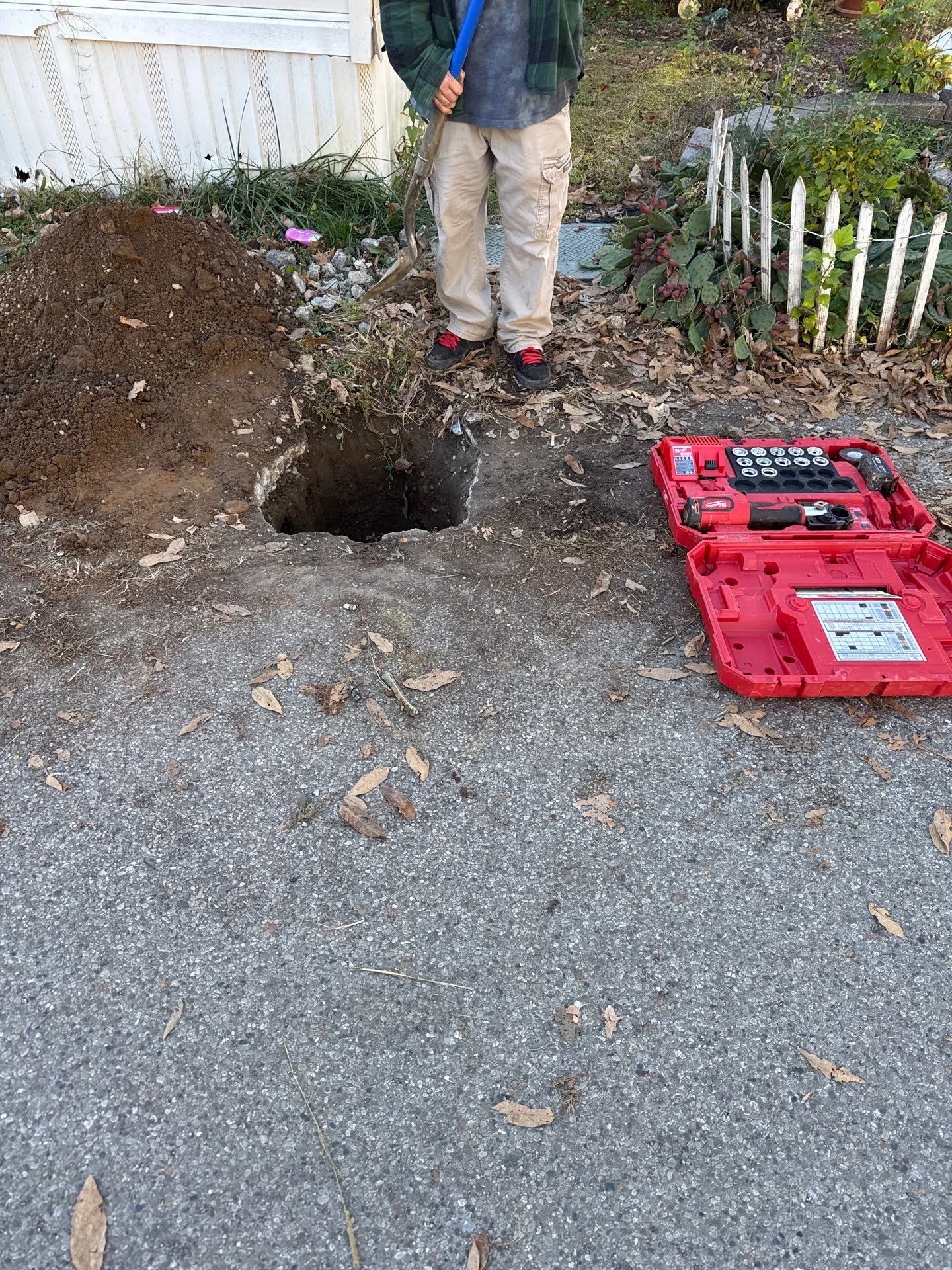 Project in Cleves