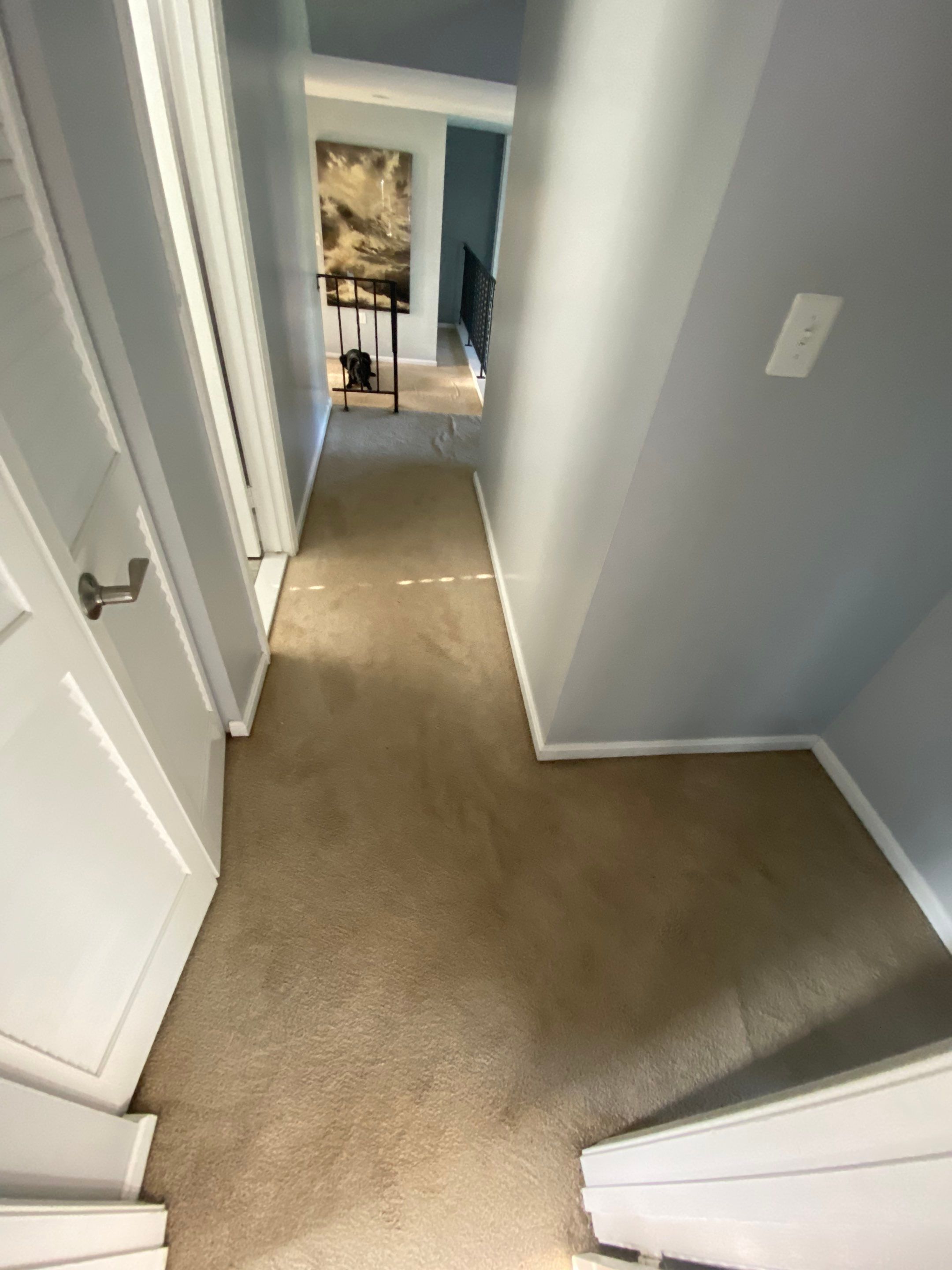 LVP flooring install by The Smet Companies, LLC