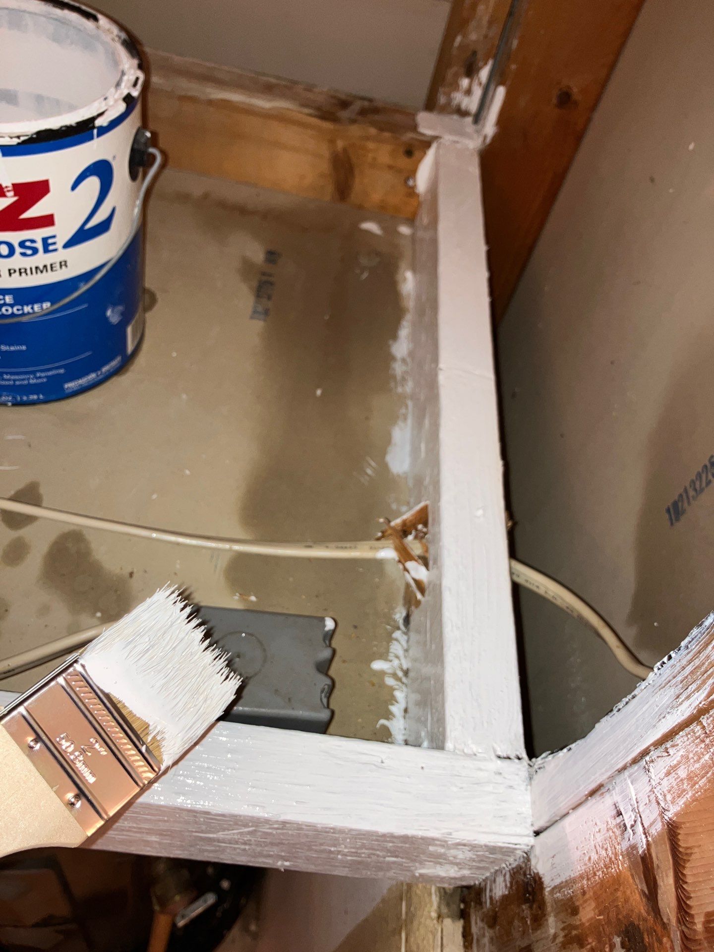 Bradenton Mold Remediation by Ampm Restoration Services