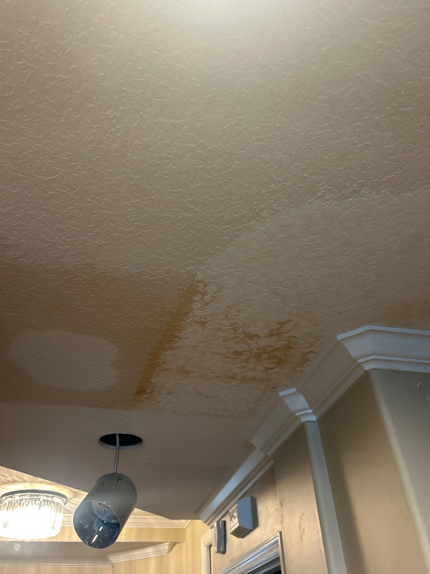 Water And Mold Restoration by Ampm Restoration Services