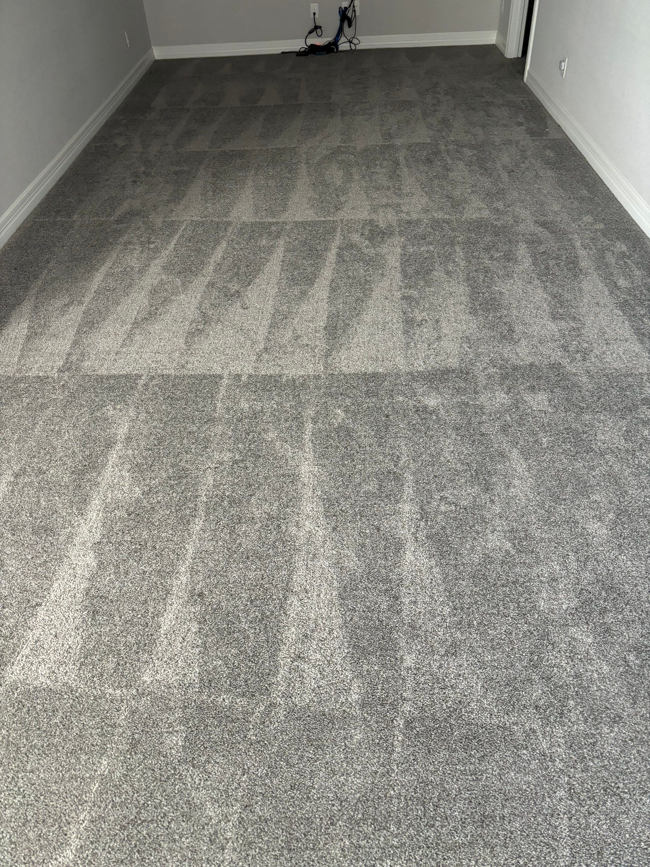 the photo shows a freshly cleaned carpet with visible cleaning strokes indicating recent carpet cleaning services being performed