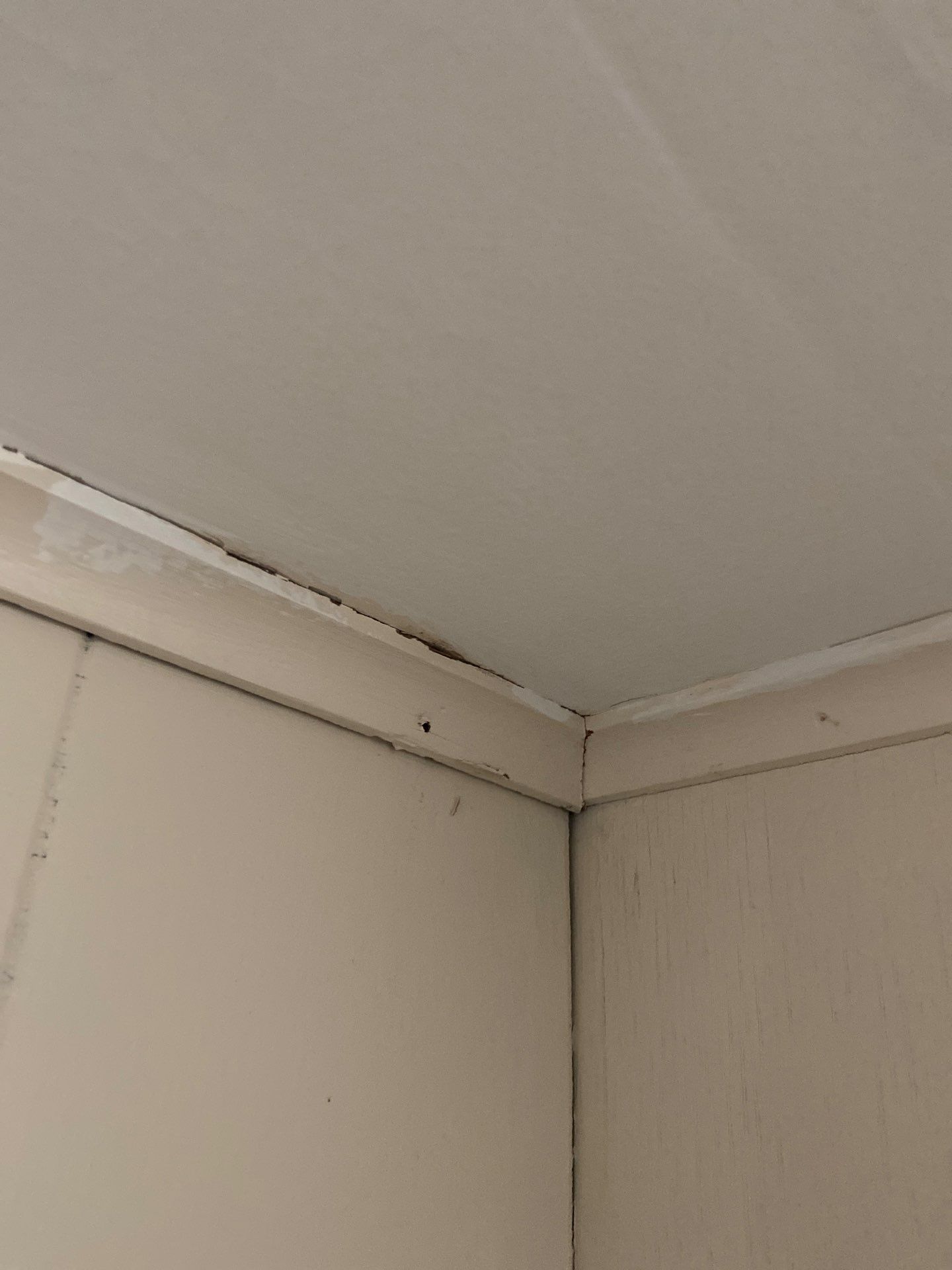 Interior Painting & Drywall Repair | Grand Haven, MI by Gordon Painting