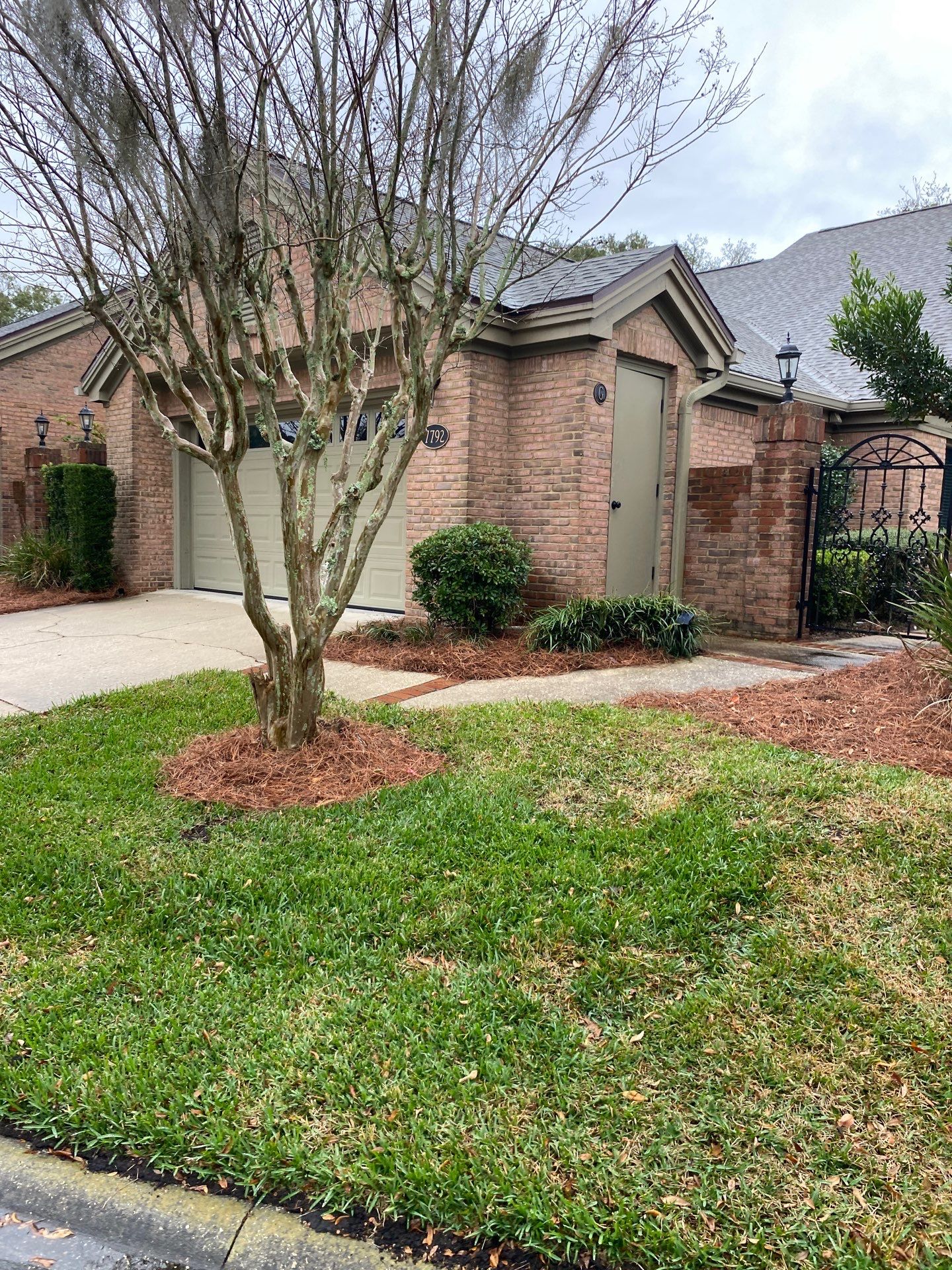 Deerwood Pointe | Tree Removal & Pine Straw Installation by ProGreen Services