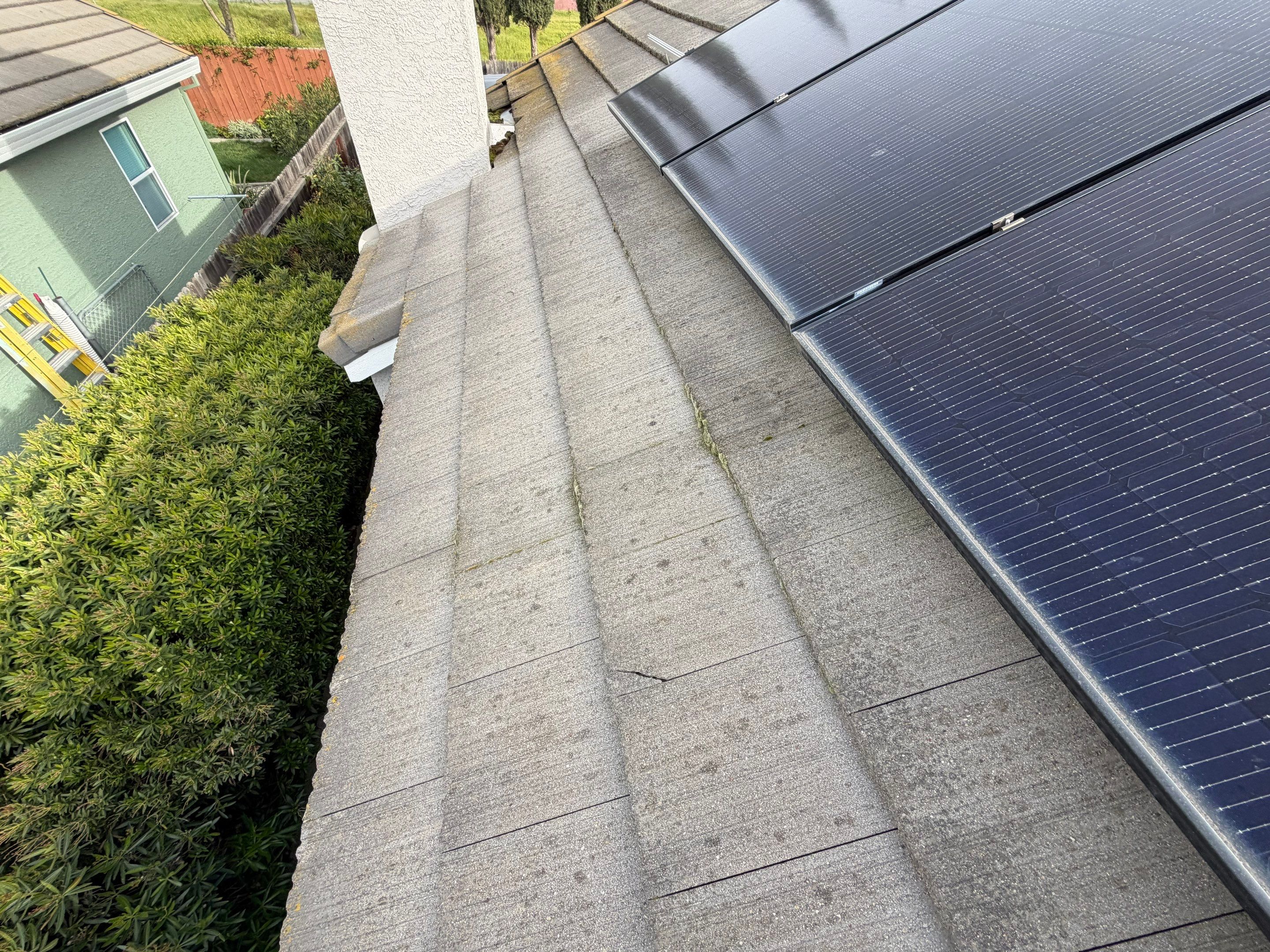 Project in Elk Grove  by NuLead Construction Inc