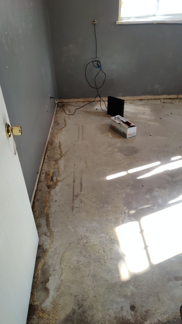 Mold Remediation by Accountable Home Services