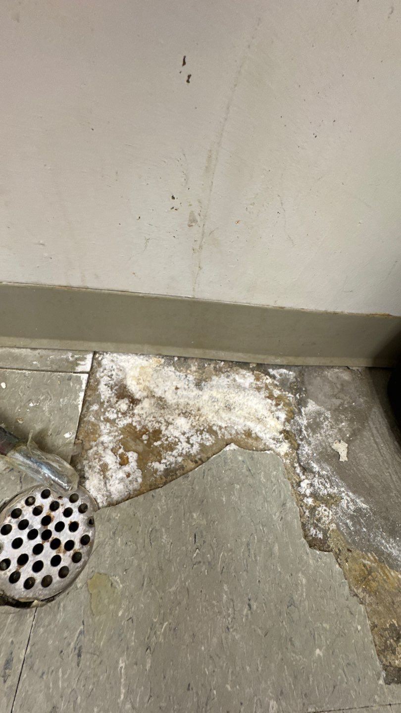 Mold Damage Restoration by Accountable Home Services