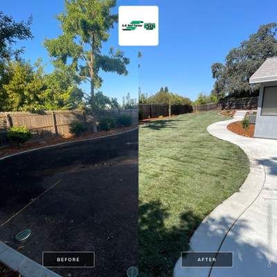 Project in Roseville