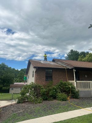 Residential Roof and Exterior Surface Cleaning in Etowah