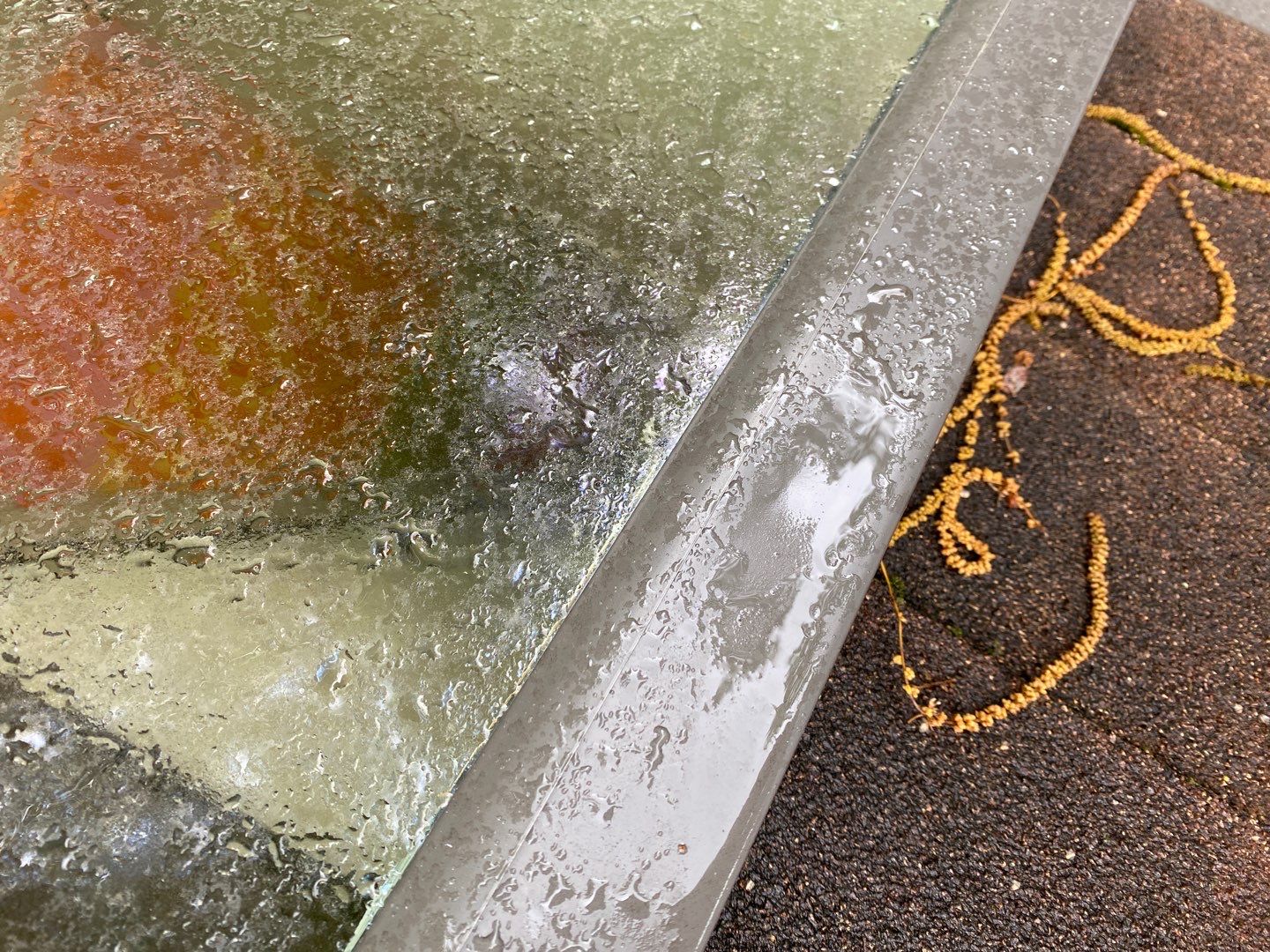 Arlington: CertainTeed Landmark Pro Designer Shingles in Max Def Shenandoah by RM Banning, Inc.