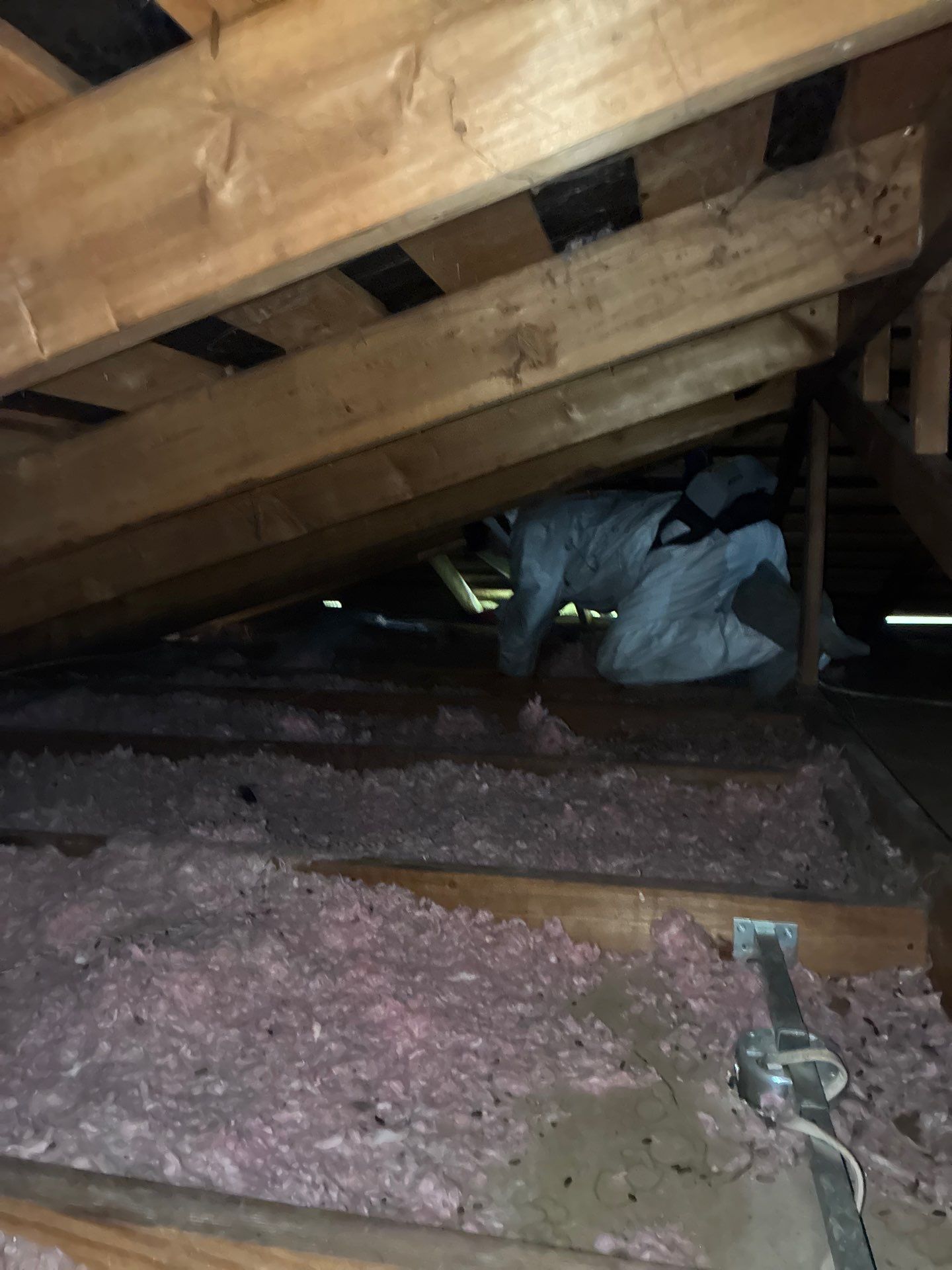 Project in Sacramento by 911 Hazmat Cleanup
