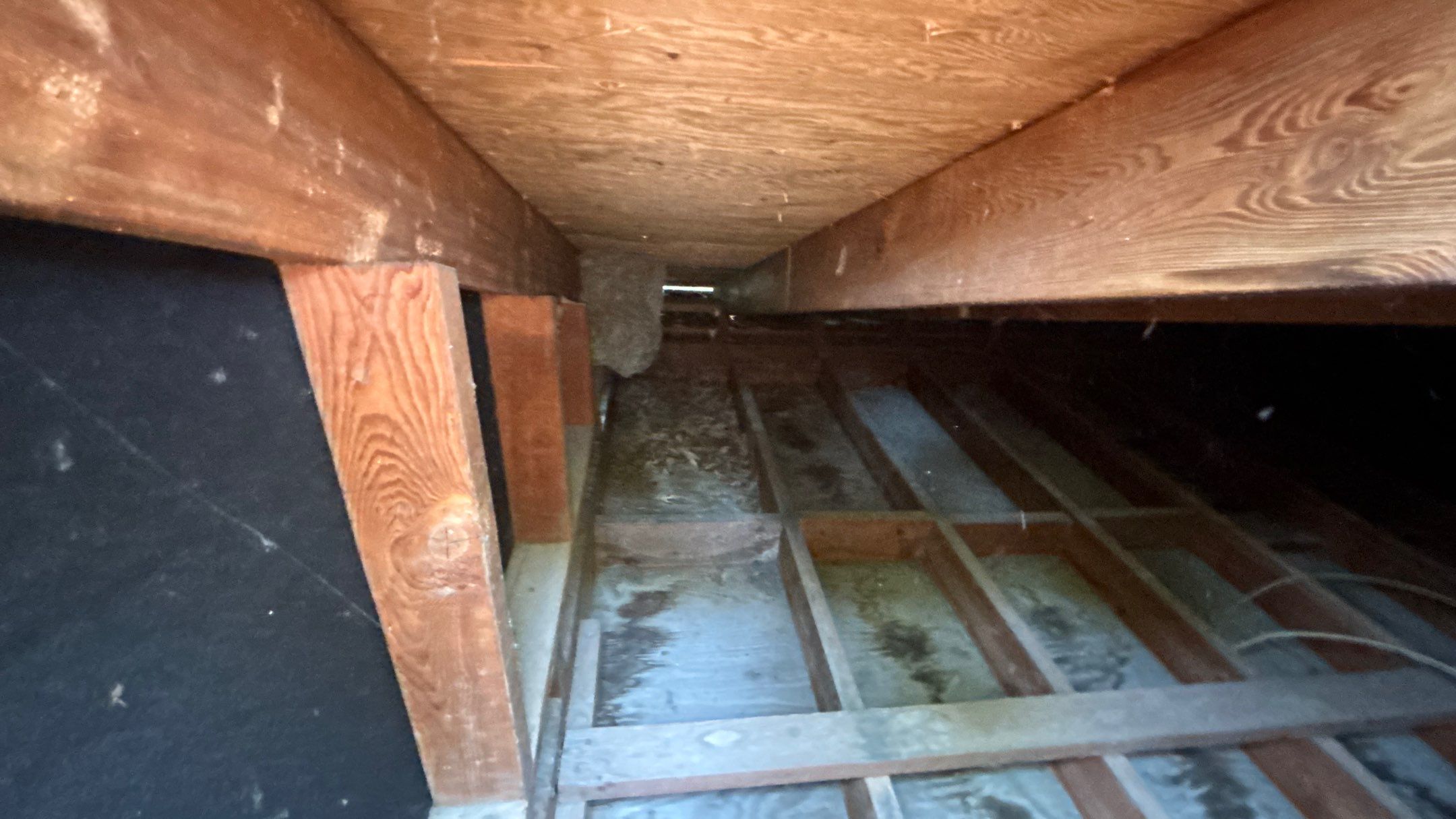 Roof Replacement using Owens Corning Teak by 180 Contractors