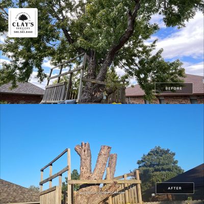 Tree Removal using Chainsaws