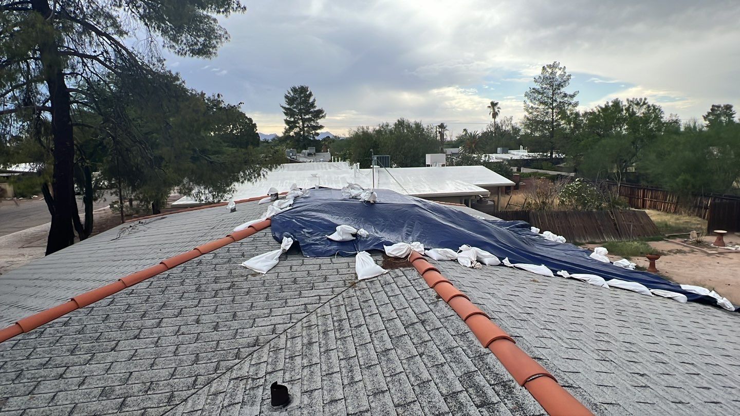 Silver Birch Shingles by Reimagine Roofing
