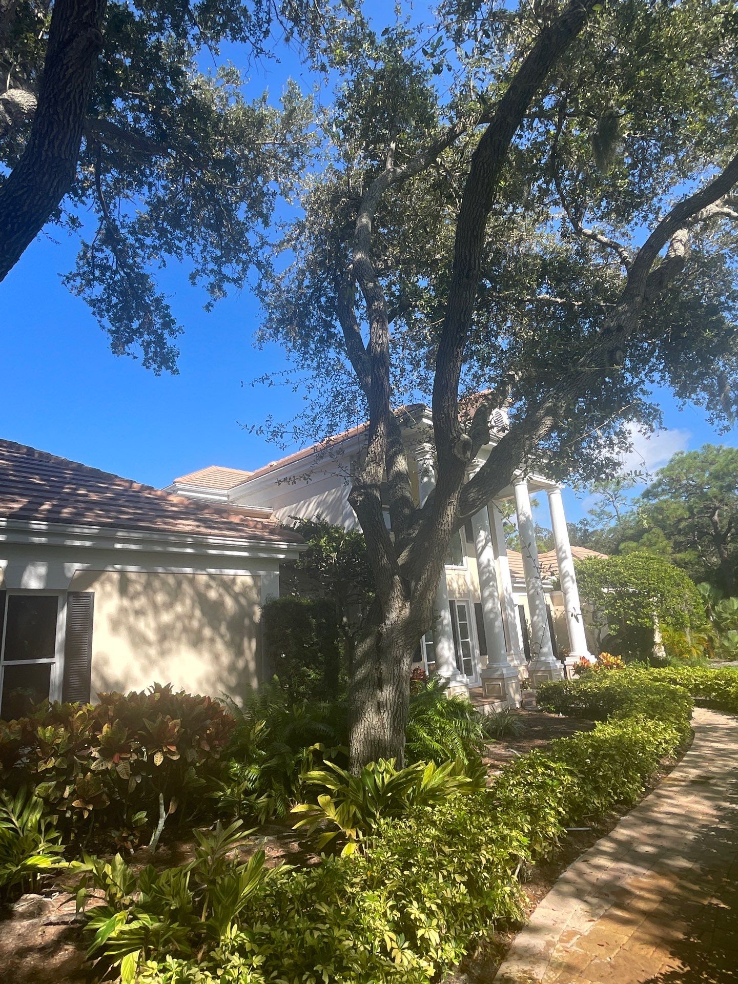 7-Inch Seamless Gutters for Large Roofs in Osprey FL by Gutter Professors