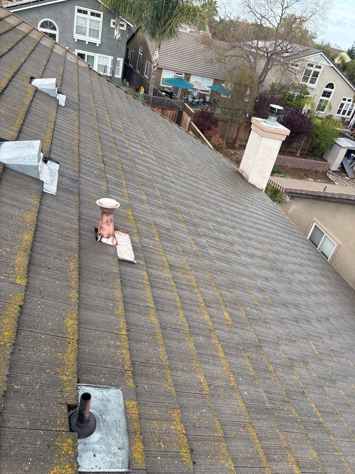 Moss Removal by Top Elevation