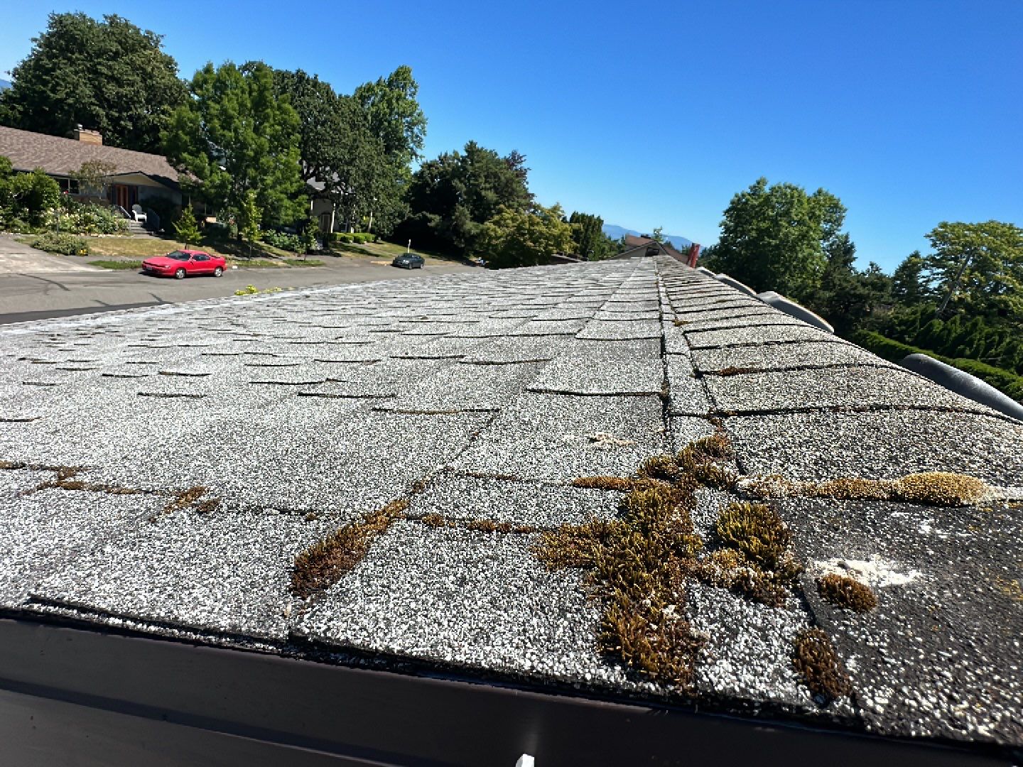 Graphite Shingles by Reimagine Roofing