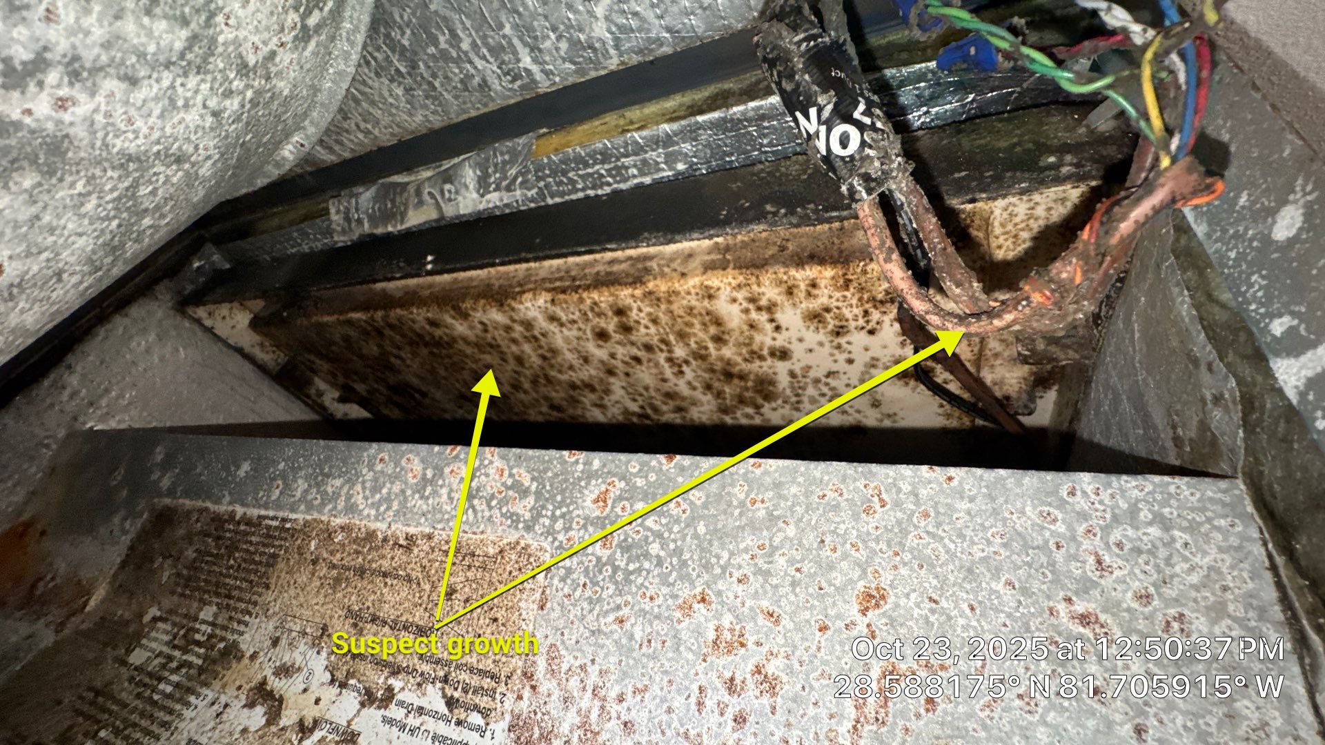 AIr Duct and Dryer Vent Cleaning in Montverde by Hygienic Air, Inc