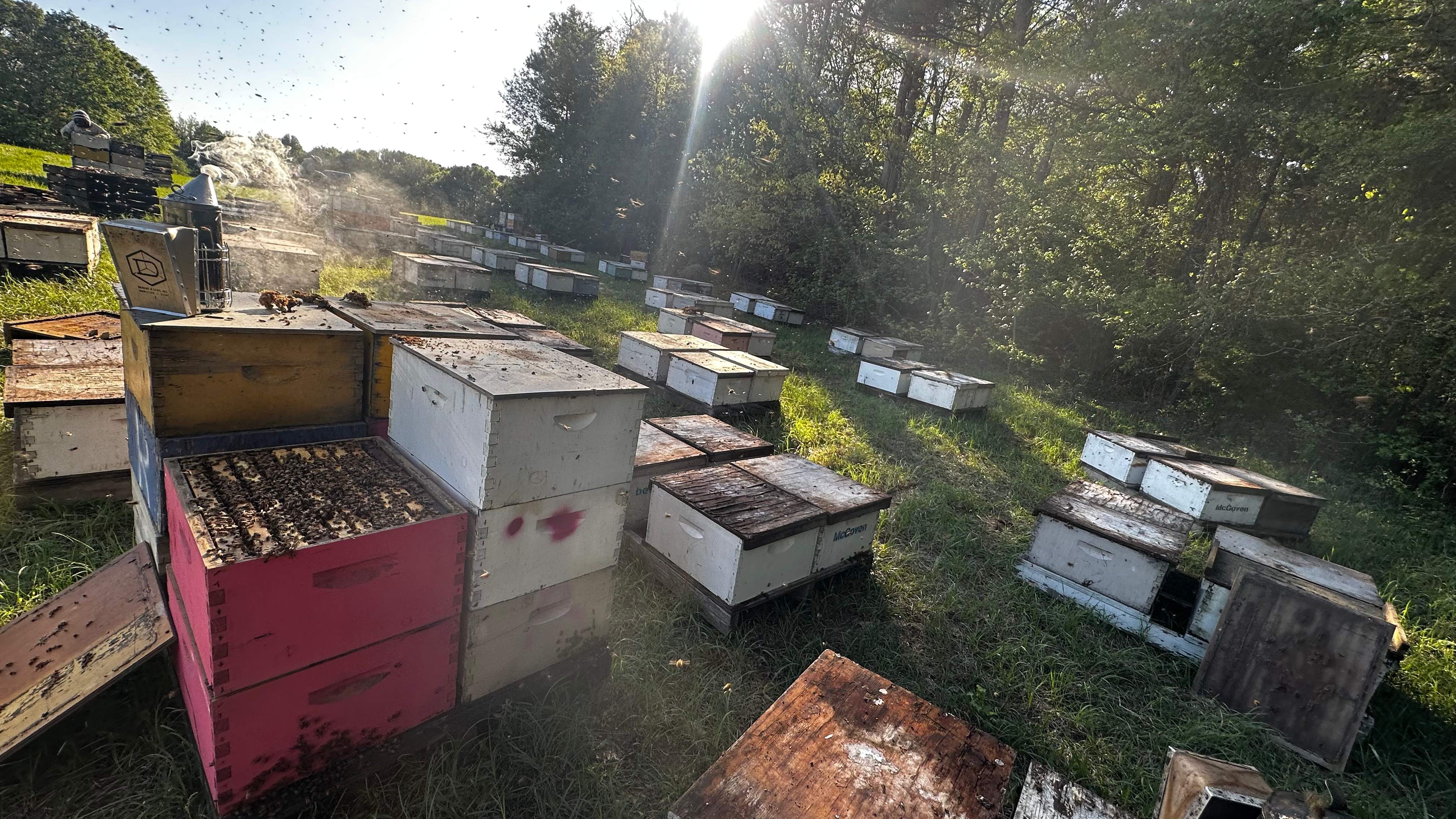 Traylor's Hay Meadow Apiary by Rockwall Honey Bee Company