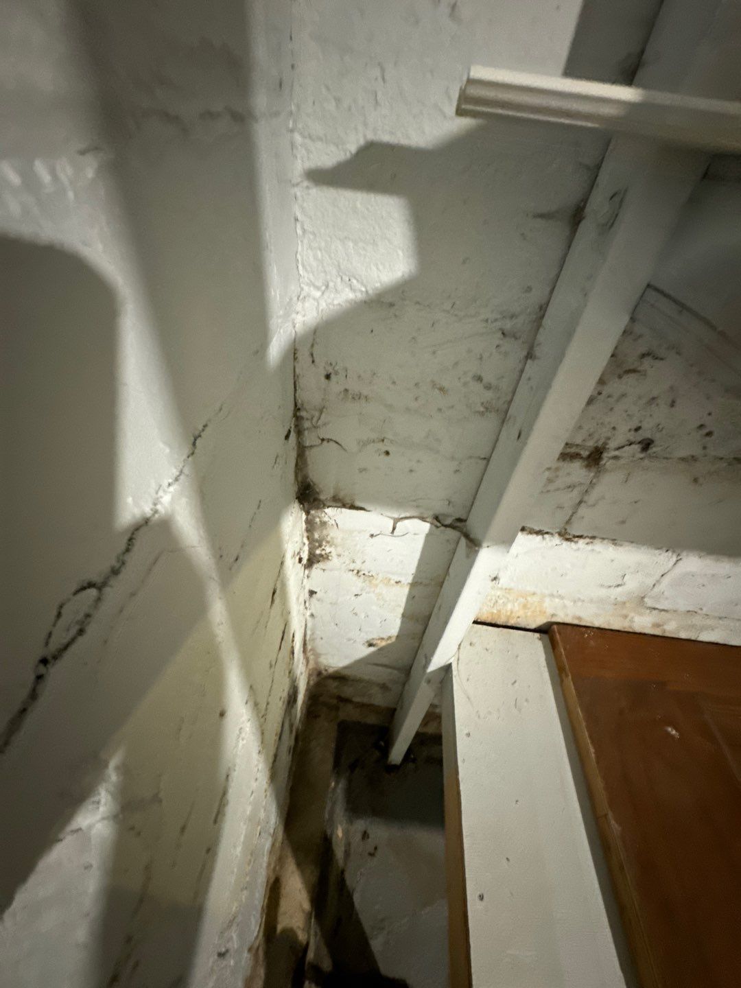 Giving Joseph Peace of Mind Before His Remodel by Waterproofing Northeast