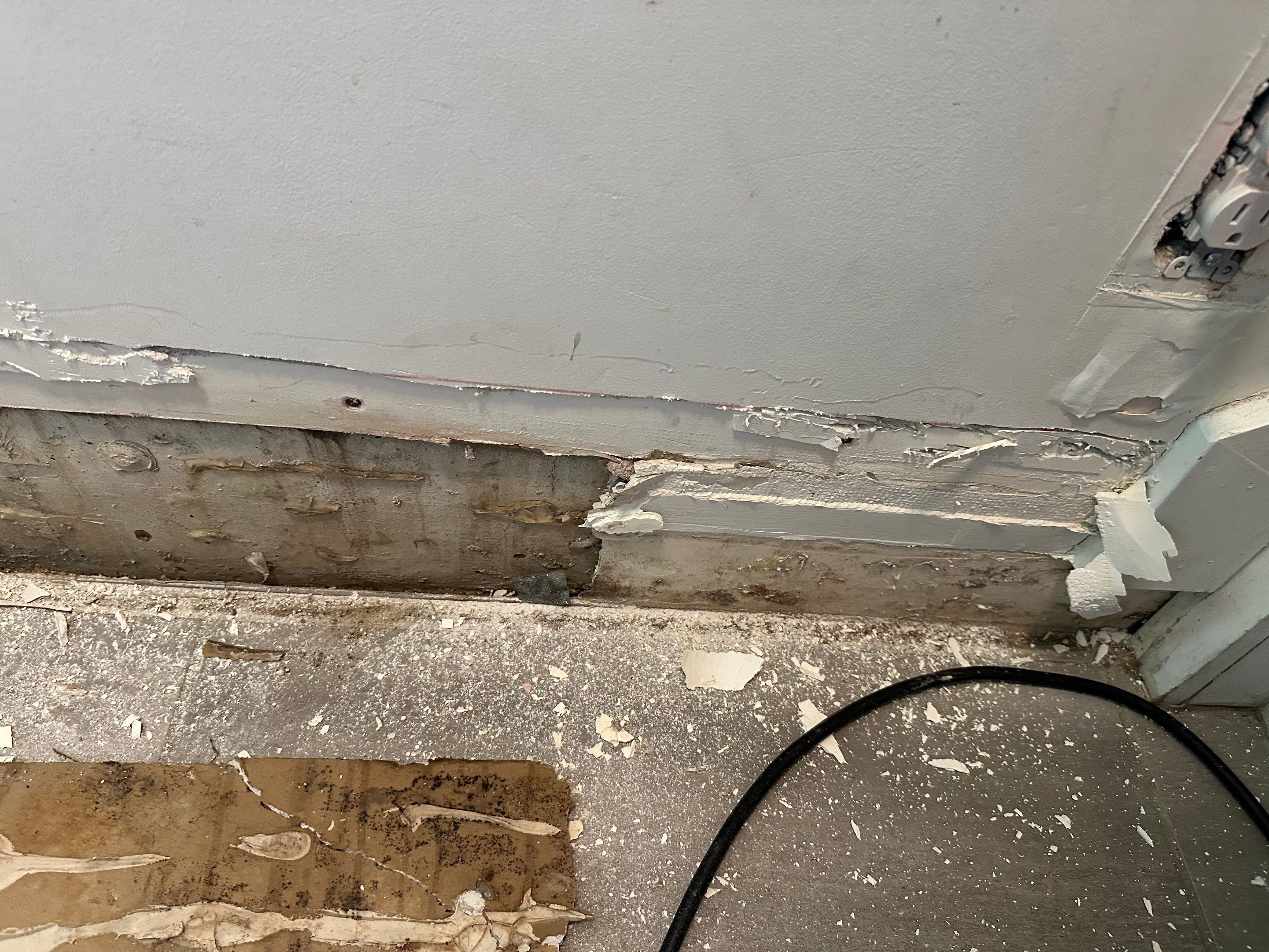 Water Damage in Denver, CO by Alpha Restoration 