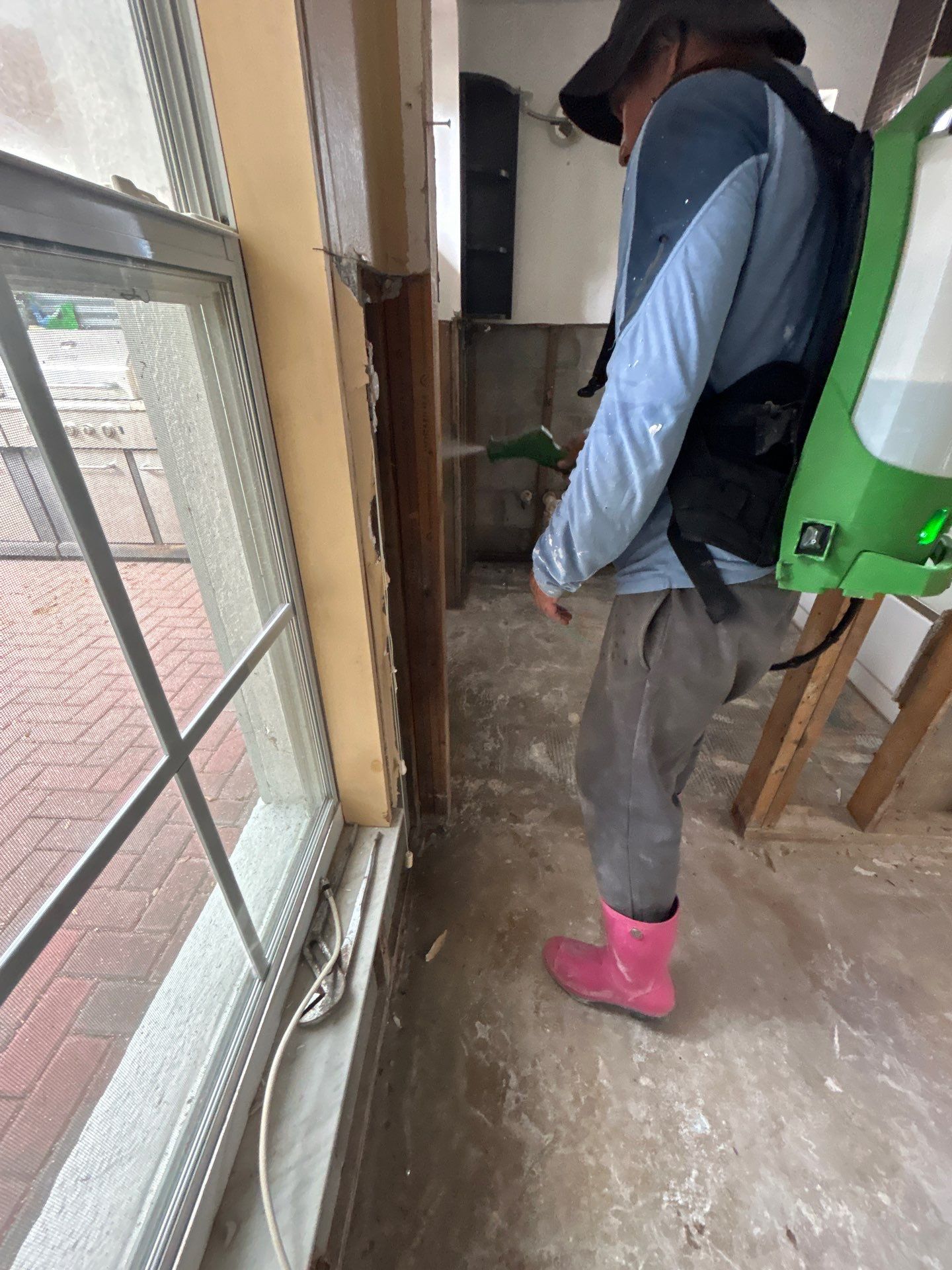 Mold Remediation + Reconstruction Bradenton by Ampm Restoration Services